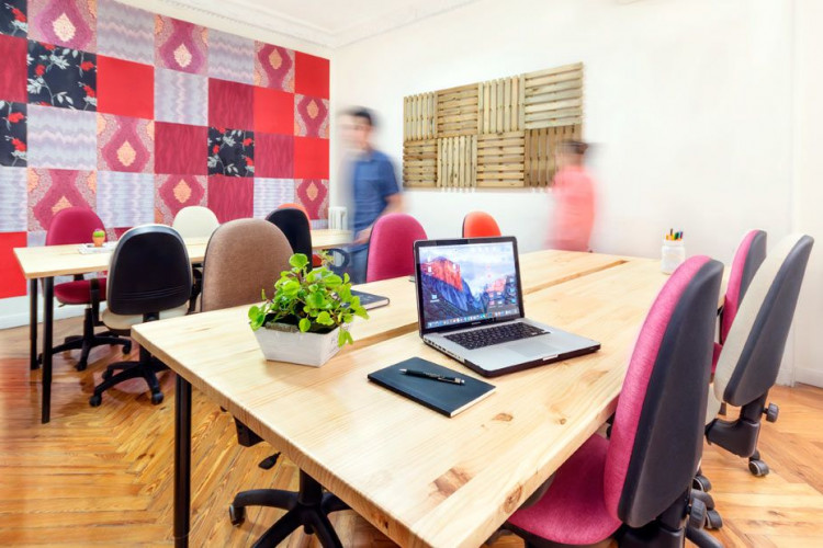 The Shed Coworking - Coworking Space 